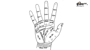 Palmistry - India TV Hindi