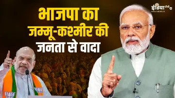 Jammu Kashmir BJP Manifesto- India TV Hindi