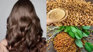  fenugreek benefits for hair - India TV Hindi