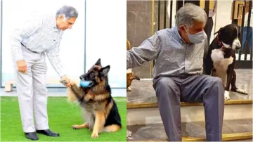 Ratan Tata story when he not go London after his dog became ill Prince Charles praised him- India TV Hindi