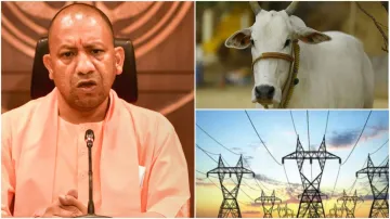 Yogi government big decision for the protection of cows in UP good news for electricity consumers to- India TV Hindi