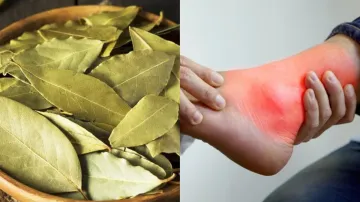 Bay Leaf Reduce Uric Acid- India TV Hindi