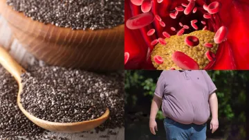 chia seeds for bad cholesterol- India TV Hindi