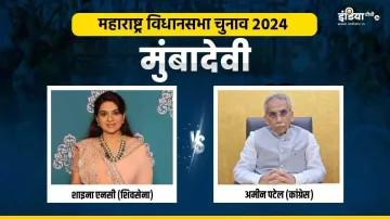 Maharashtra Hot Seats, Maharashtra Assembly Election 2024- India TV Hindi