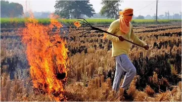 delhi air pollution Now you will have to pay double the fine for burning stubble- India TV Hindi