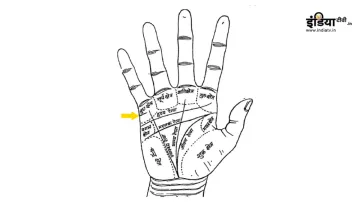 Palmistry - India TV Hindi