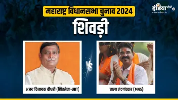 Maharashtra Assembly election- India TV Hindi