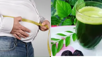 Curry leaves are very beneficial in reducing obesity- India TV Hindi