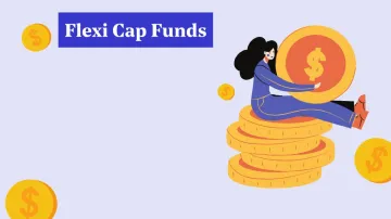 Flexi Cap Mutual Fund- India TV Paisa