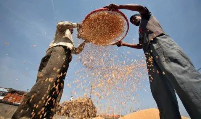 Food For All: अप्रैल तक पूरे देश में लागू हो जाएगा खाद्य सुरक्षा कानून, तेजी से काम कर रही है सरकार- India TV Paisa