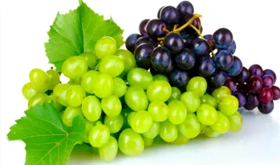 grapes- India TV Hindi