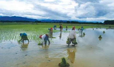 अच्छे मानसून की भविष्यवाणी से एग्रीकल्चर इंडस्ट्री उत्साहित, कृषि उत्पादन बेहतर रहने की उम्मीद- India TV Paisa