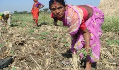 महाराष्ट्र में कृषि संकट के लिए कांग्रेस-एनसीपी जिम्मेदार, गोयल ने पानी पहुंचाने के लिए की फड़णवीस की तारीफ- India TV Paisa