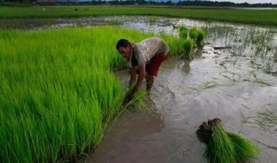 सामान्य मानसून से तेल मूल्य में वृद्धि की चिंता होगी दूर, अधिक बारिश अर्थव्यवस्था के लिए लाभकारी- India TV Paisa