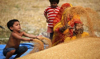 सरकार ने गेहूं पर इंपोर्ट ड्यूटी की खत्म, सप्लाई बढ़ने से घटेंगी कीमतें- India TV Paisa