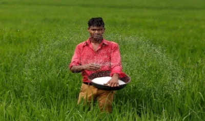 किसानों की आय दोगुनी करने के लिए अनेक सुधारों पर विचार कर रही केंद्रीय समिति- India TV Paisa