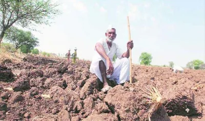 महाराष्‍ट्र सरकार ने कहा- कृषि आय पर निर्भर लोगों को ही मिलेगा कर्ज माफी योजना का फायदा- India TV Paisa