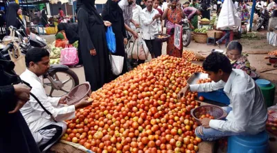 Delhi-Tomatoes- India TV Hindi