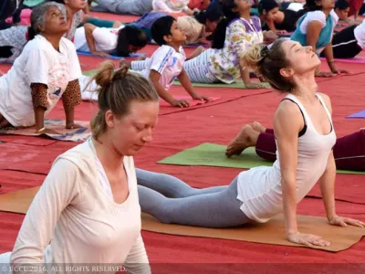 international yoga day- India TV Hindi