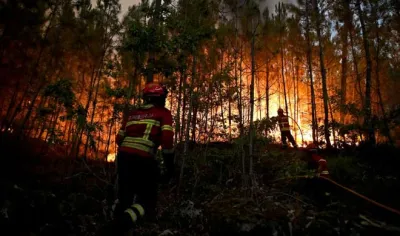 24 people die in Portugal forest fire 20 scorches- India TV Hindi