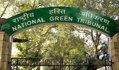 NGT ने कहा दिल्ली में 10 साल पुरानी गाड़ियों की एंट्री पर लगे रोक, अगली सुनवाई तक सभी इंडस्ट्रियल गतिविधियां रहेंगी बंद- India TV Paisa