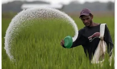 नए साल से पूरे देश में किसानों के खातों में आने लगेगा उर्वरक सब्सिडी का पैसा- India TV Paisa