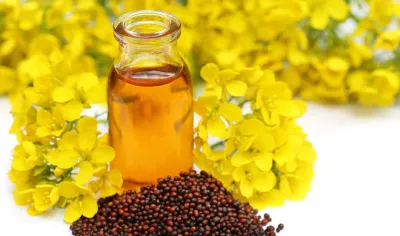 mustard oil- India TV Hindi