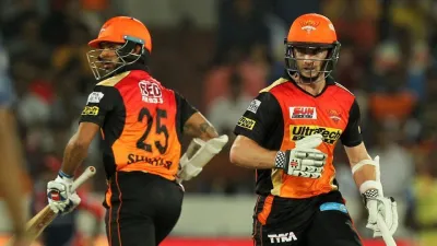 <p>Dhawan, Williamson</p>- India TV Hindi