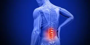 <p>Back pain</p>- India TV Hindi