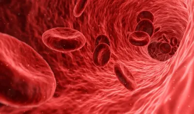 <p>Haemophilia</p>- India TV Hindi