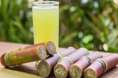 <p><strong><em>Sugarcane Benefits</em></strong></p>- India TV Hindi