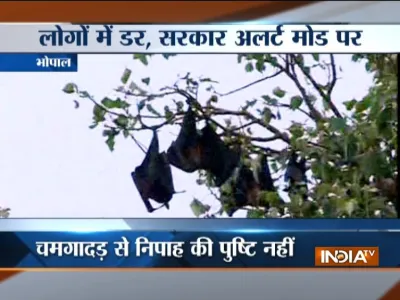 Bhopal Nipah virus- India TV Hindi