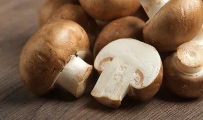 <p>mushroom</p>- India TV Hindi