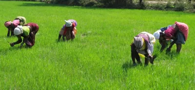 Farmers- India TV Paisa