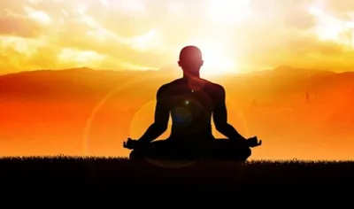 <p>International Yoga Day</p>- India TV Hindi