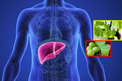 these home remedies will keep your liver healthy in hindi- India TV Hindi