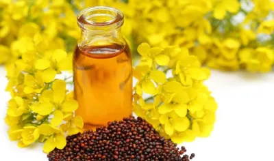 <p>mustard oil</p>- India TV Hindi