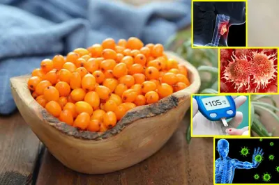 Sea buckthorn- India TV Hindi