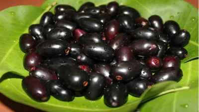 Jamun- India TV Hindi