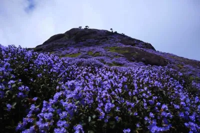 Munnar- India TV Hindi