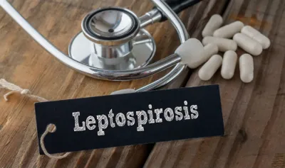 Leptospirosis - India TV Hindi