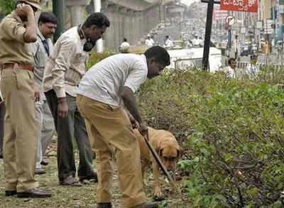 <p>Three of the 14 accused in the Chinnaswamy blast case...- India TV Hindi