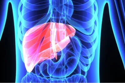 <p>liver disease</p>- India TV Hindi