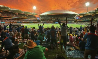 Cricket Crowd- India TV Hindi