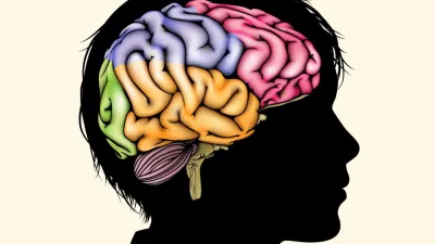 <p>Brain</p>- India TV Hindi