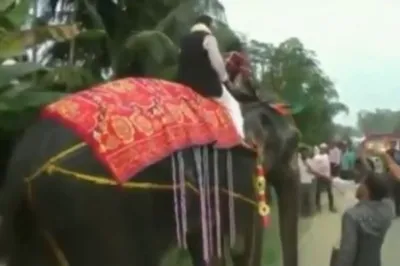 Newly-elected Assam deputy speaker Kripanath Mallah falls off elephant- India TV Hindi