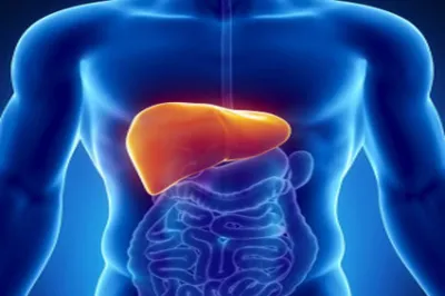 <p>liver disease</p>- India TV Hindi