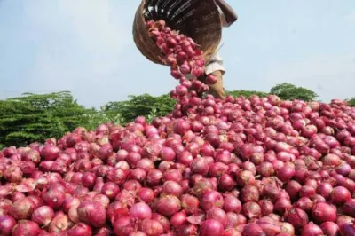 <p>farmer gets 51 paise per kg for his onions, sends money...- India TV Hindi