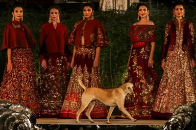 <p>Rohit Bal Fahion Show</p>- India TV Hindi