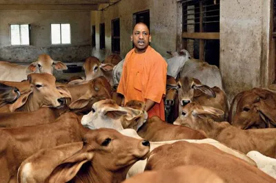 <p>cm yogi adityanath</p>- India TV Hindi